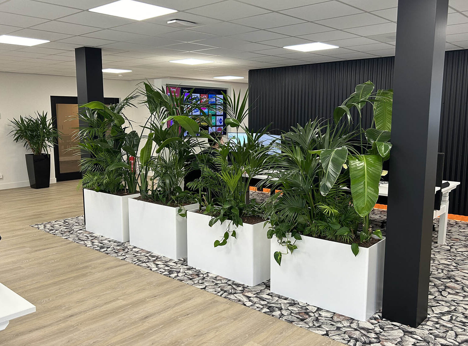 Afbeelding project